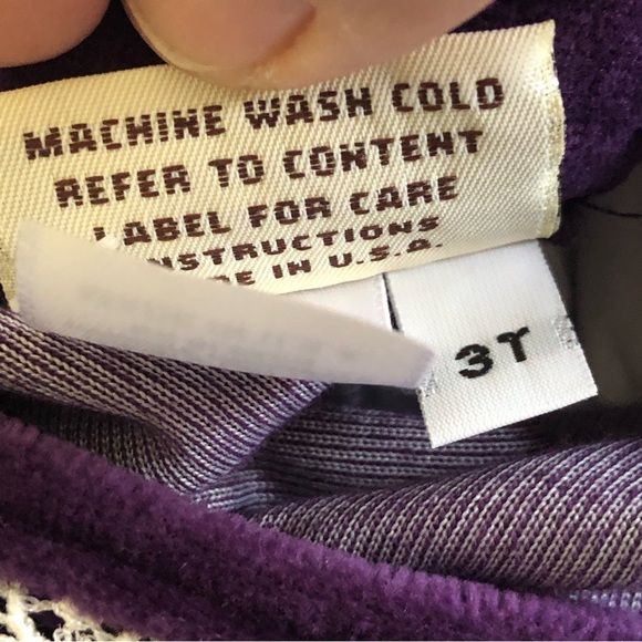 NWT Rebecca Raggs Original Royal Purple Velvet Lace Embroidered Dress Size 3T - Picture 11 of 13